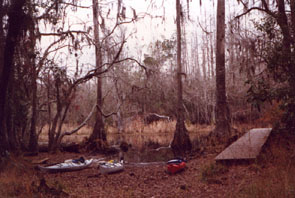 A photo of a landing on Billy's Island in Okefenokee