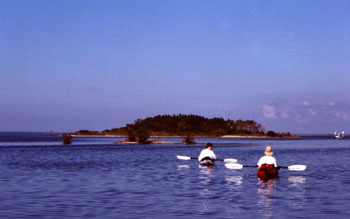A photo of Liz and I kayaking Mosquito Lagoon