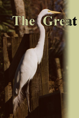 Fancy-schmancy title graphic using a photo of an egret